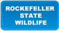 Rockefeller State Wildlife Scholarship
